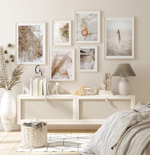 PACK DE 6 Plume et Pampas