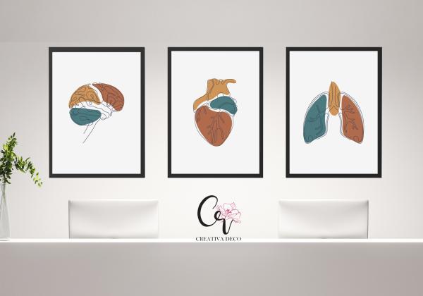 Cabinet médicale coloré