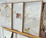 Dream Hope Plume Beige 