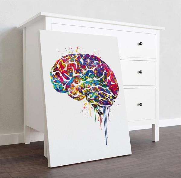 Cerveau colorée 