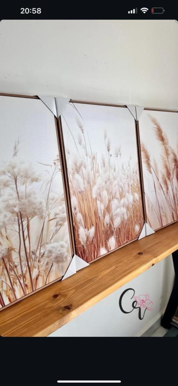 Pampas beige
