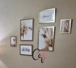 Pack de 6 Pampas Beige 