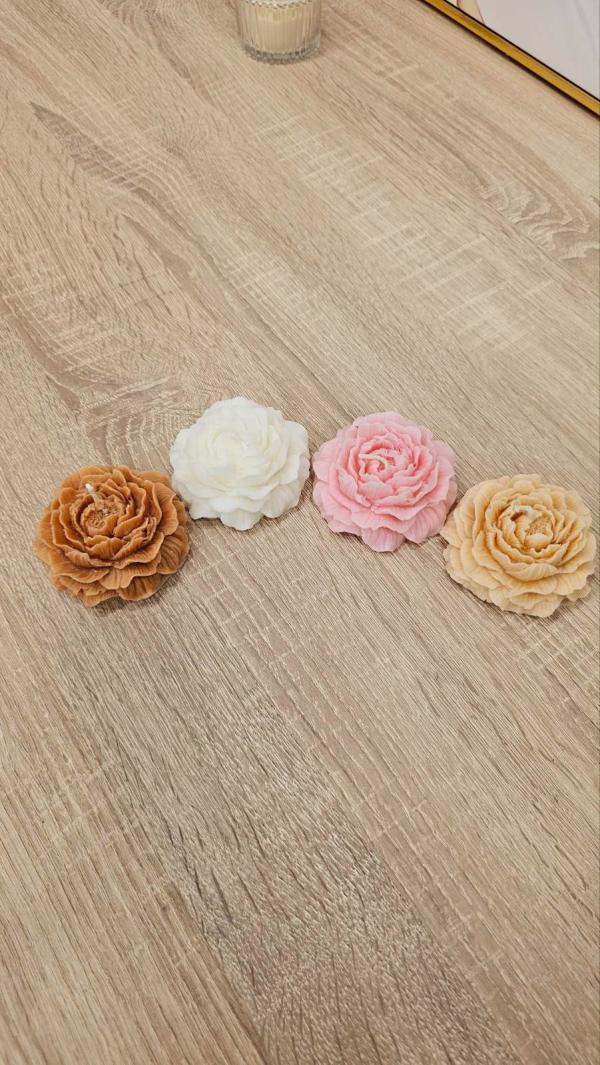 Pivoine Fleur 