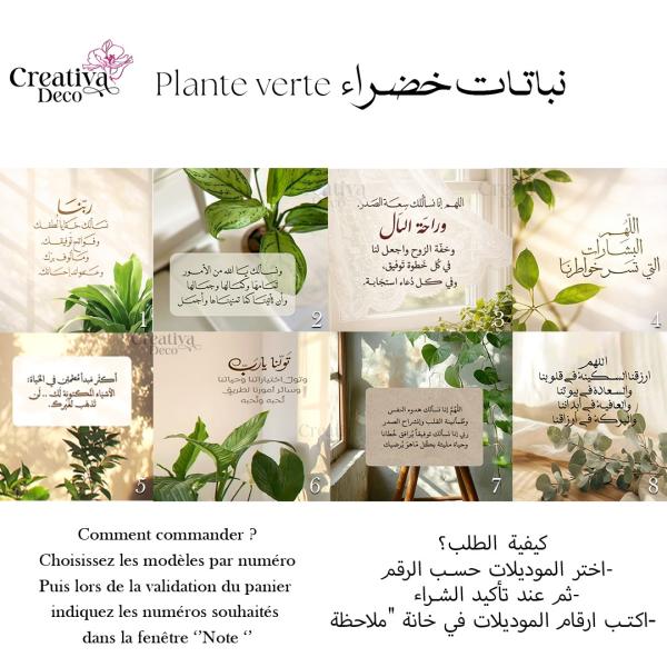 MAGNETS FRIGO / AUTRE SURFACE 