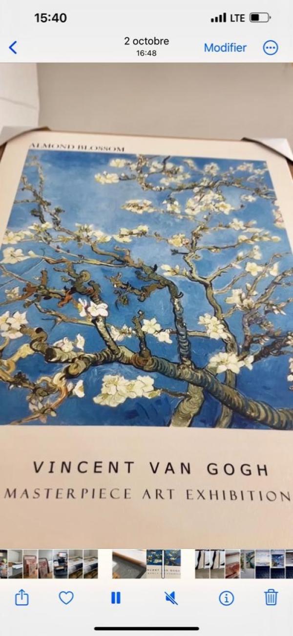 The vangogh art 